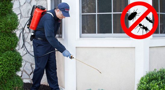 Çanakçı Böcek İlaçlama böcek ilaçlama ve haşere kontrolü — ilaclama-tr.com